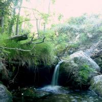 Cailho la cascade