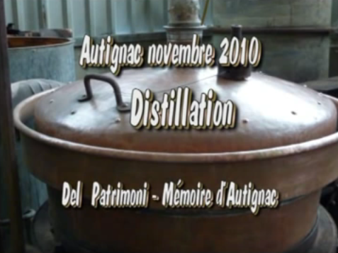 Video autignacois 2010